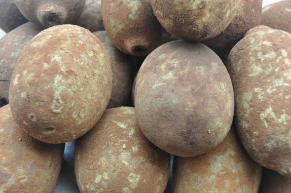 Cupuaçu fresco e de verdade no Mercado Ver-o-Peso, em Belém - PA